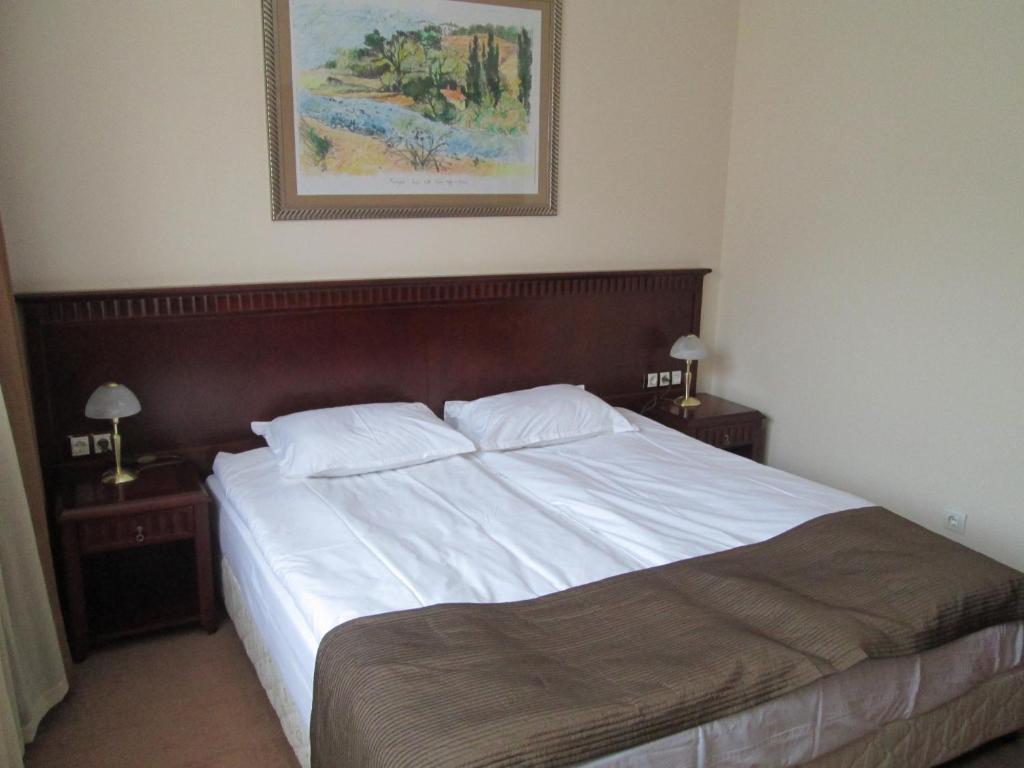 Downtown Alexander Services Apartments Bansko Ruang foto