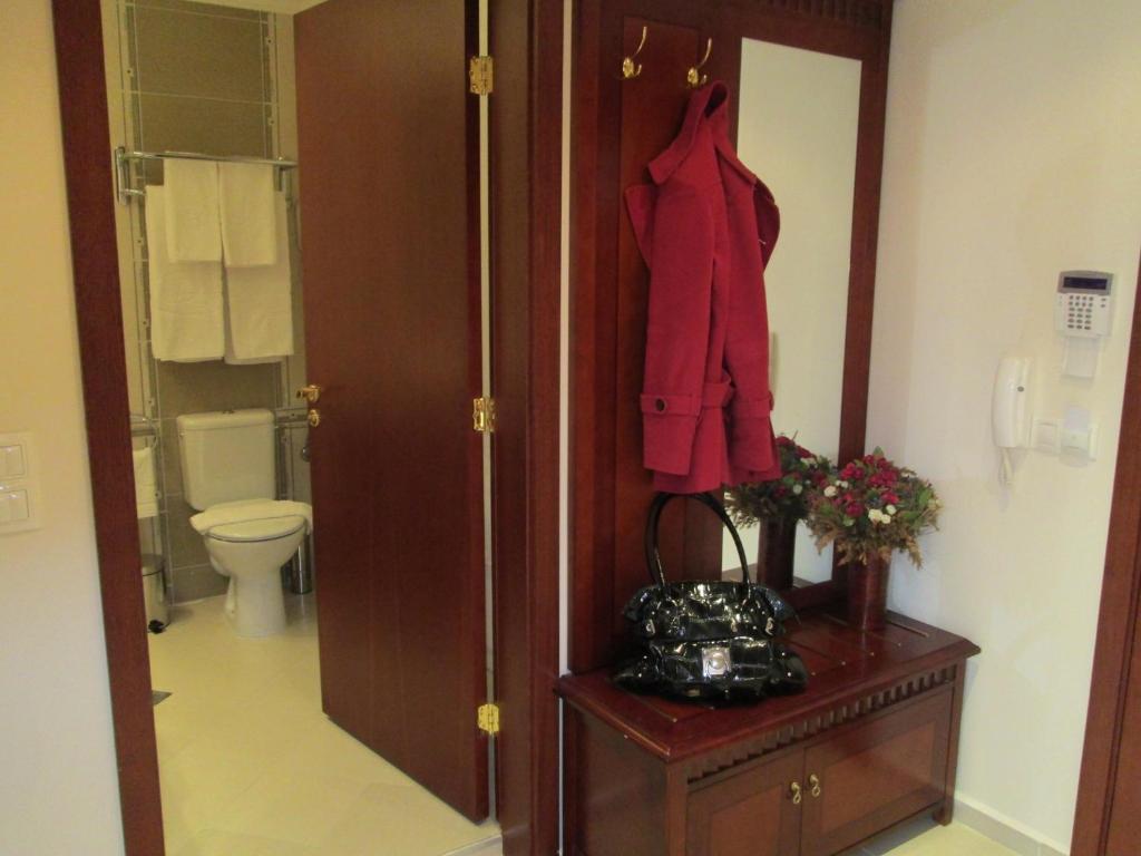 Downtown Alexander Services Apartments Bansko Ruang foto