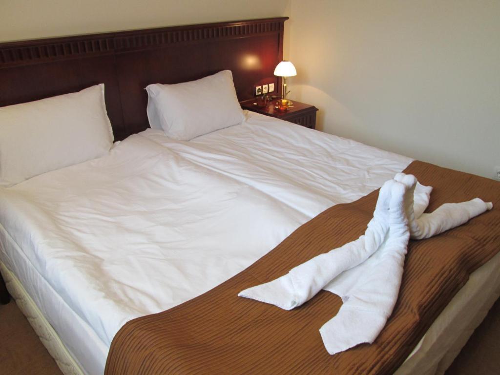Downtown Alexander Services Apartments Bansko Ruang foto
