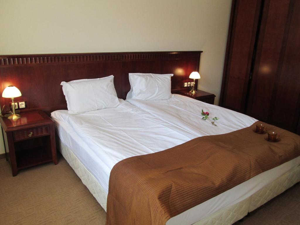 Downtown Alexander Services Apartments Bansko Ruang foto